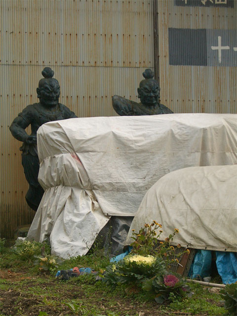 f0089079_0524492.jpg