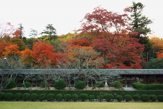 c0135381_027223.jpg