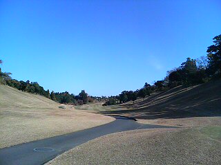 f0014183_10143623.jpg