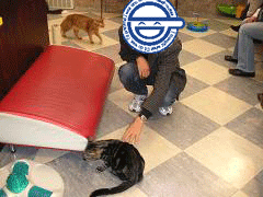 b0007685_21324319.gif