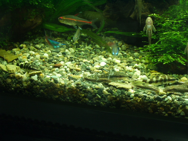 c0102086_2141386.jpg