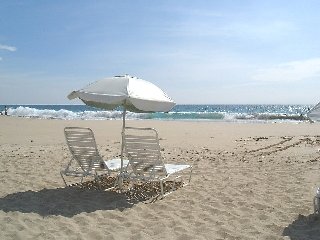 e0010293_11554563.jpg