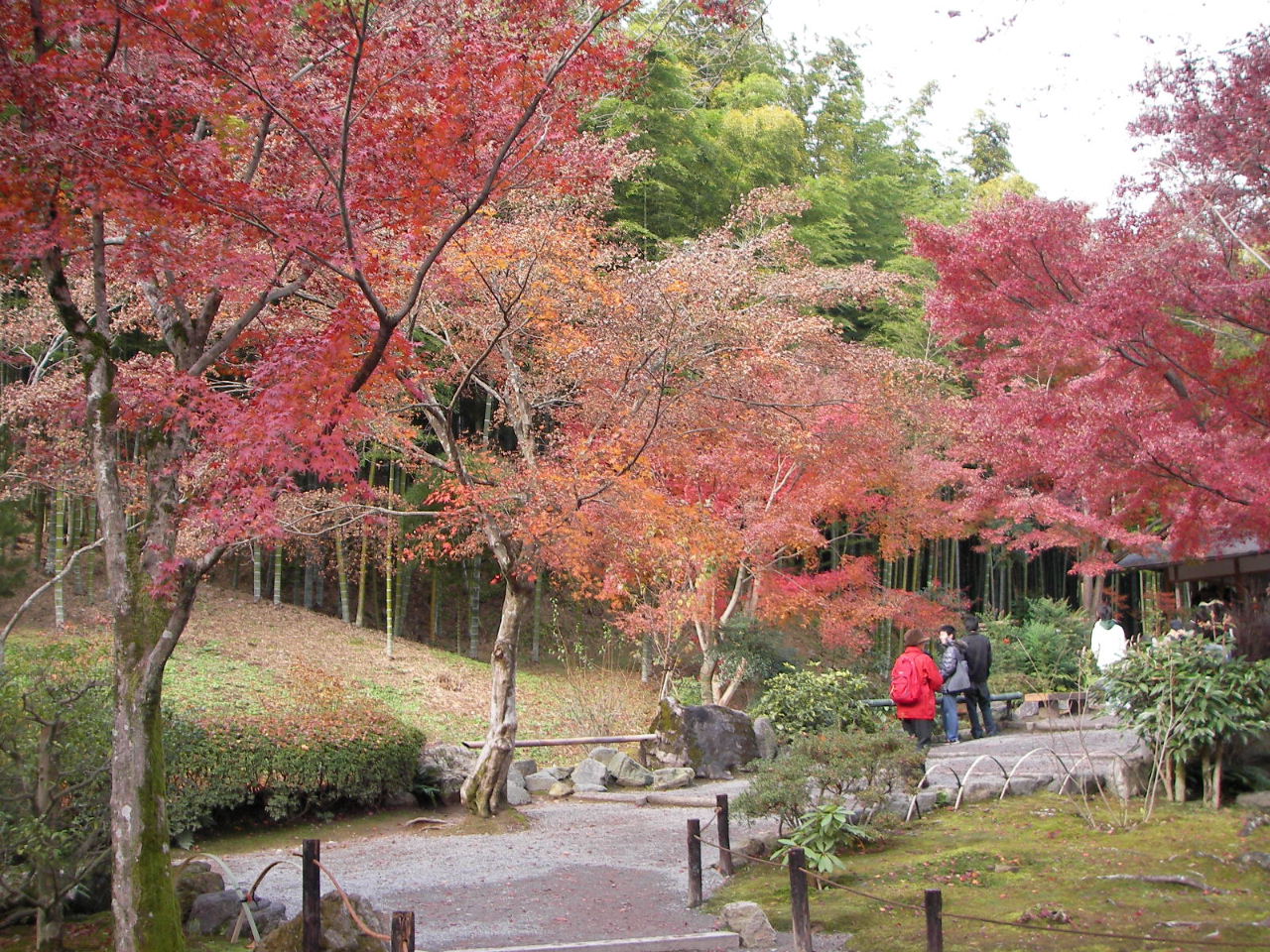 f0100593_14334429.jpg