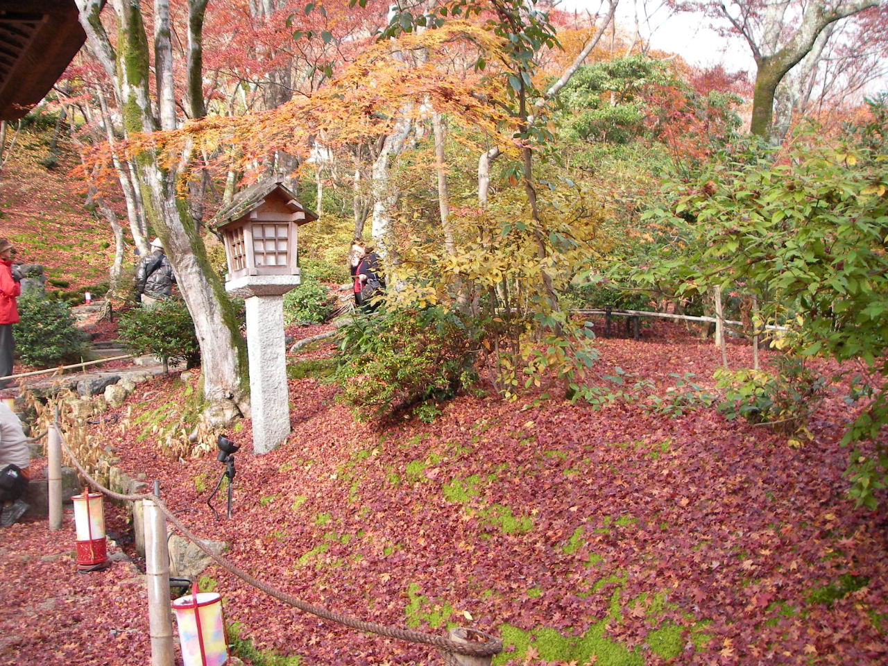 f0100593_14411928.jpg