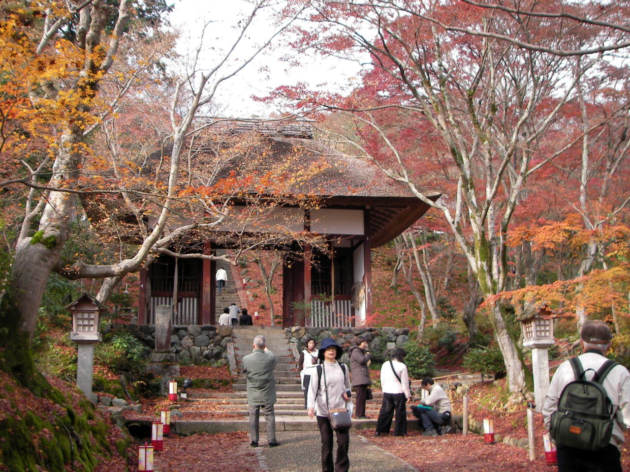 f0100593_1441852.jpg