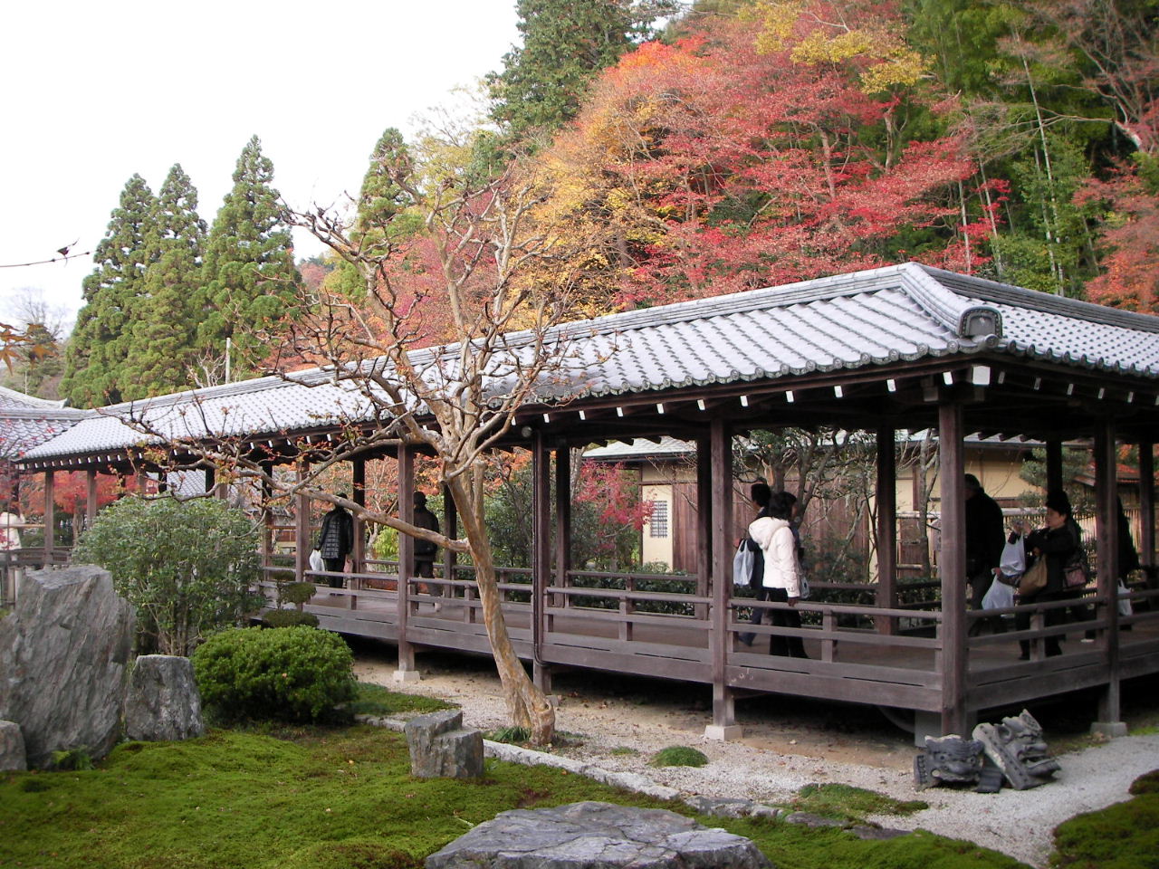 f0100593_15313777.jpg