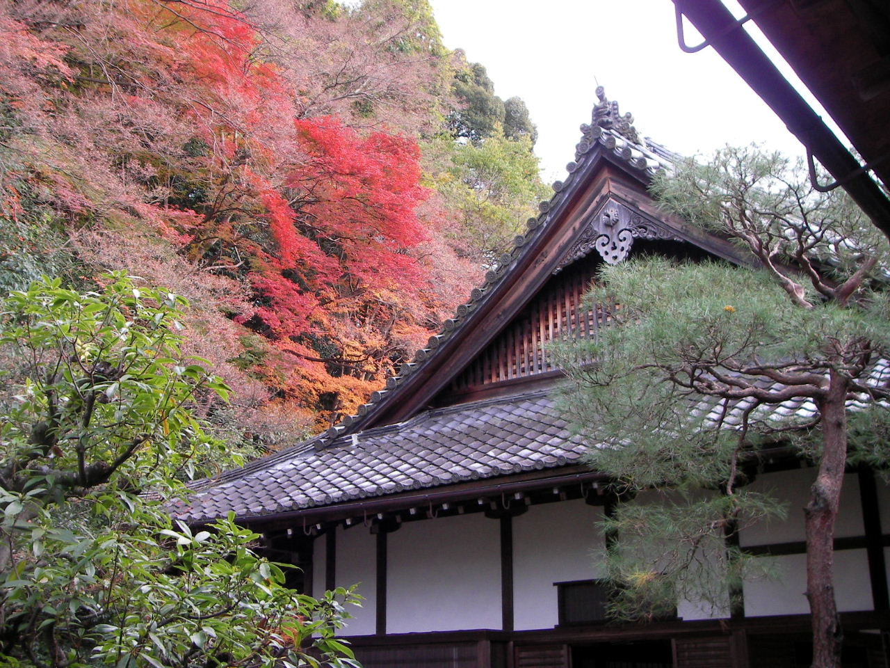 f0100593_1531516.jpg