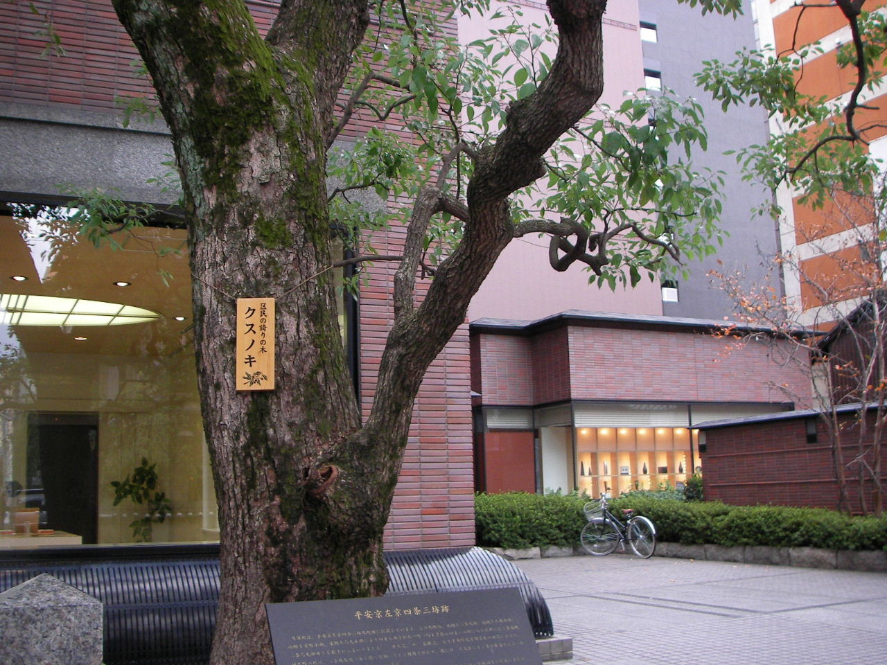 f0100593_16303824.jpg