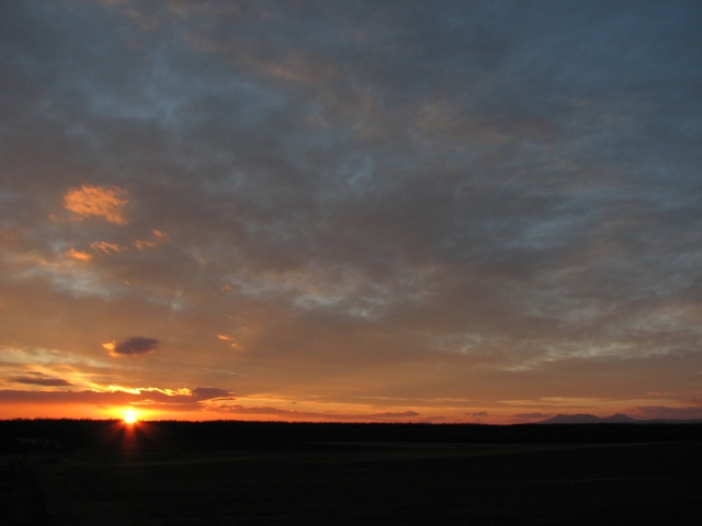 f0020302_23563220.jpg