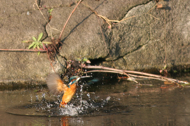 f0095702_21232922.jpg