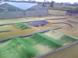 d0070007_2327770.jpg