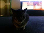a0041508_201095.jpg