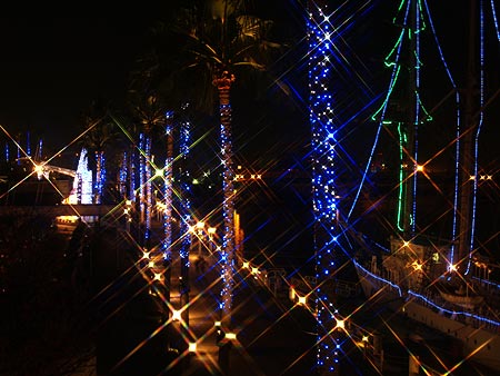 a0041508_2052747.jpg