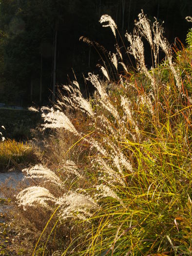 c0116915_23513017.jpg