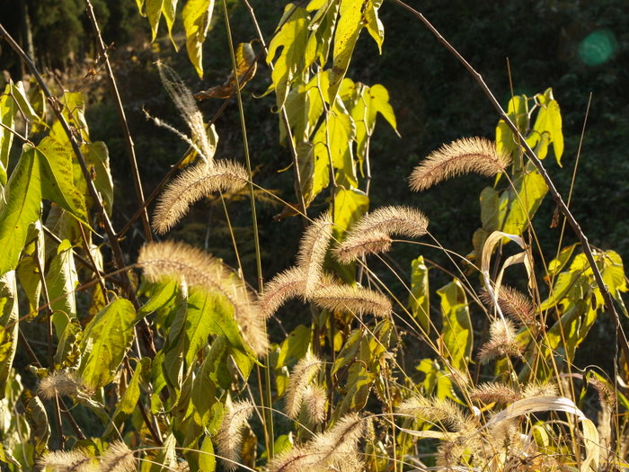 c0116915_23521137.jpg