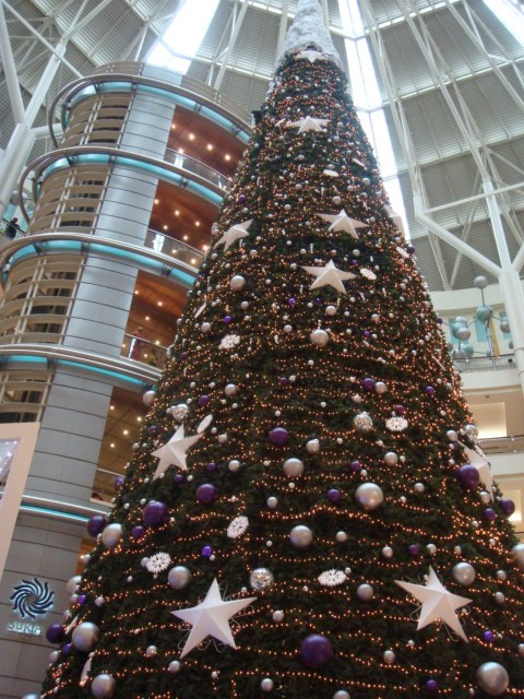 c0145615_160291.jpg