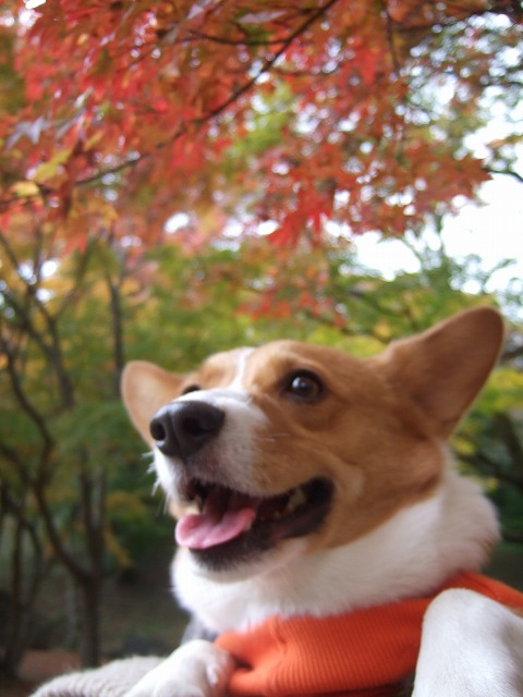 c0127617_18221511.jpg