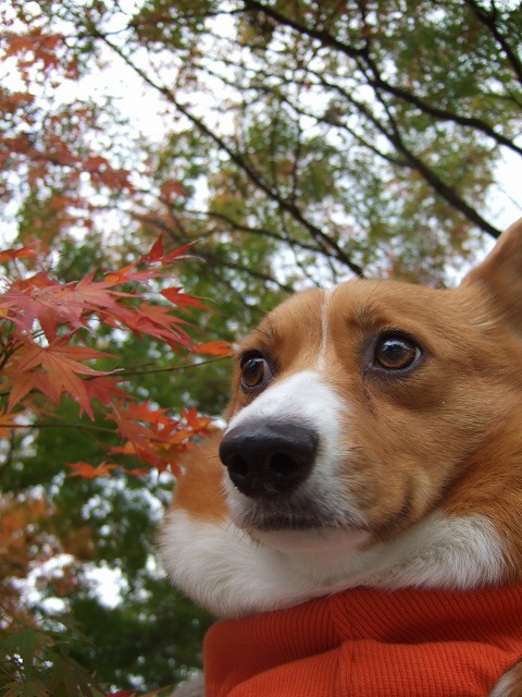 c0127617_18250100.jpg