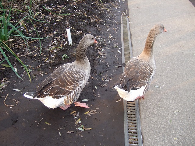 c0127617_21484186.jpg