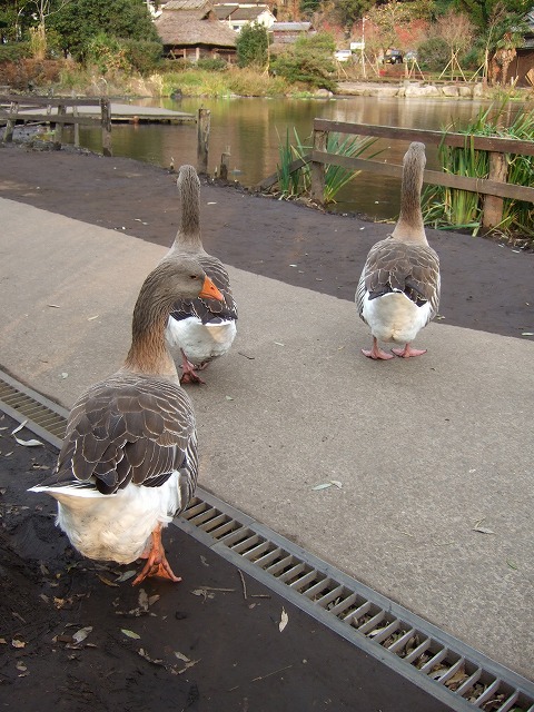 c0127617_21504395.jpg