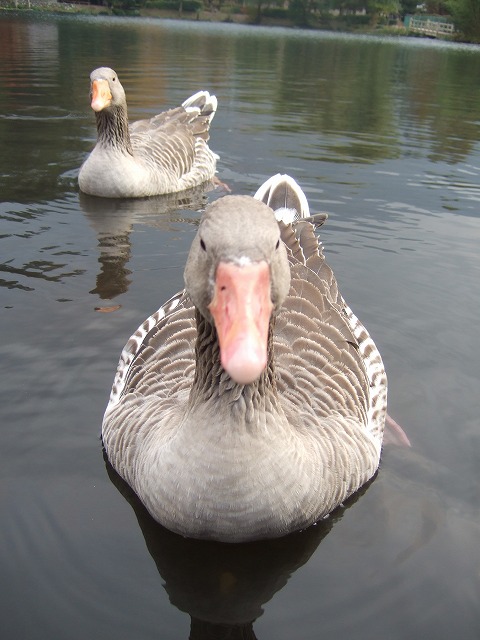 c0127617_21551326.jpg