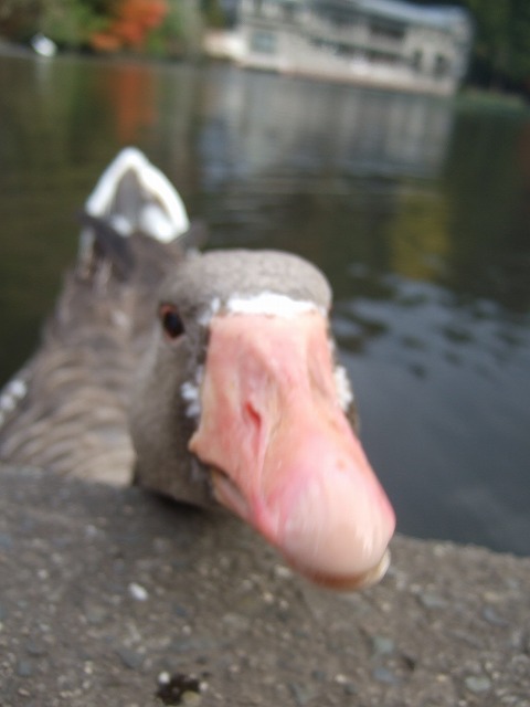 c0127617_21553064.jpg