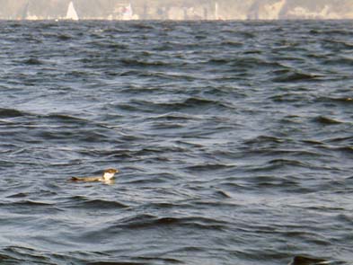 b0117718_18164652.jpg
