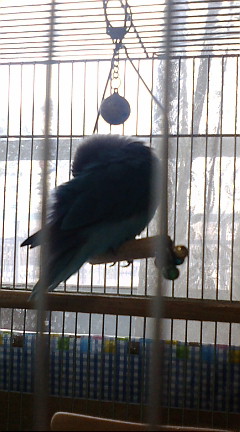 f0126418_11204840.jpg