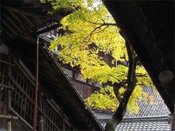 f0038819_22343987.jpg