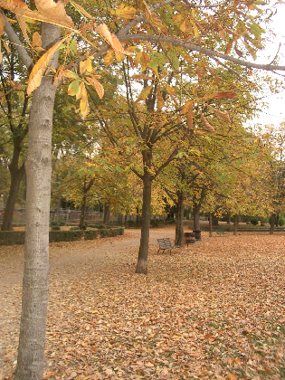 c0086221_2148484.jpg