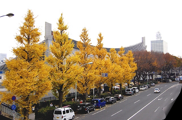 d0083623_22334591.jpg