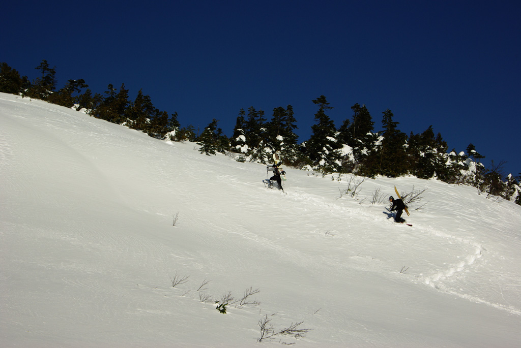 b0062024_21315760.jpg