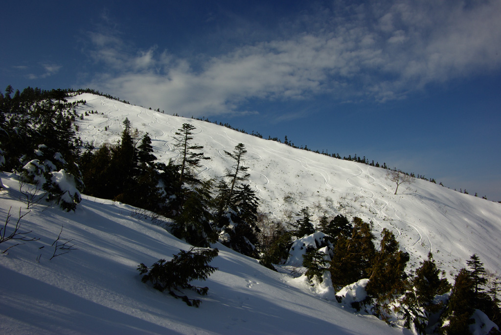 b0062024_21565064.jpg