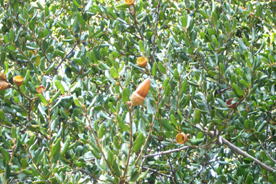 b0088124_4154097.jpg