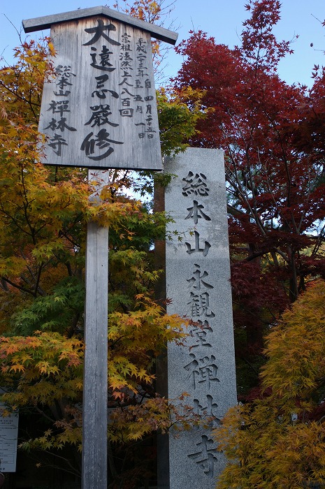 c0106831_22455741.jpg
