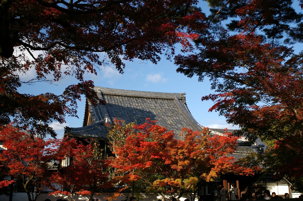 c0106831_22465088.jpg