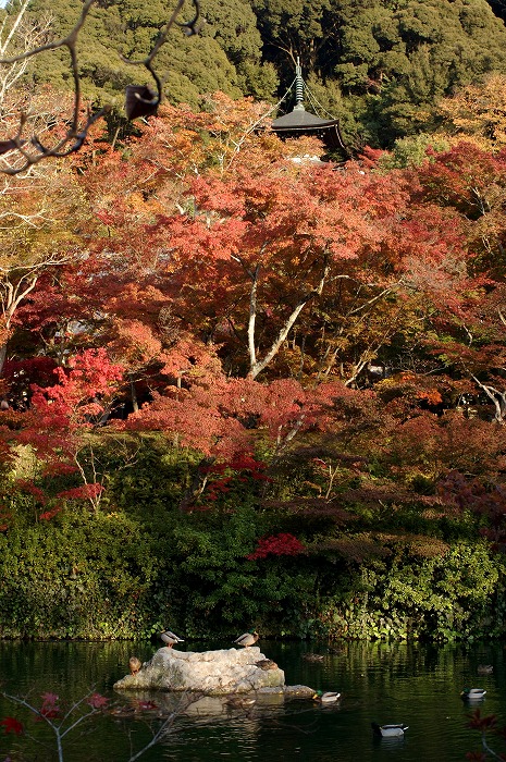 c0106831_22511398.jpg