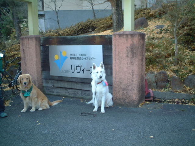 c0114833_23123724.jpg