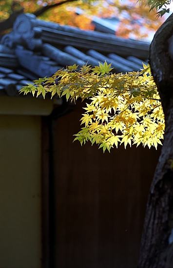 d0001533_1845268.jpg