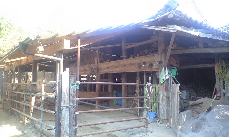b0099345_23335218.jpg