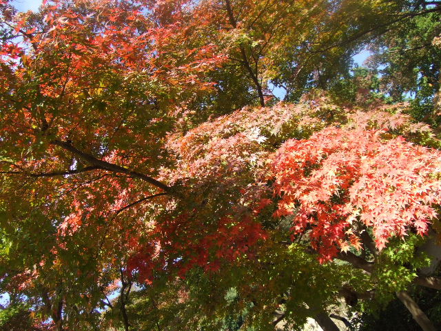 c0071545_1212355.jpg