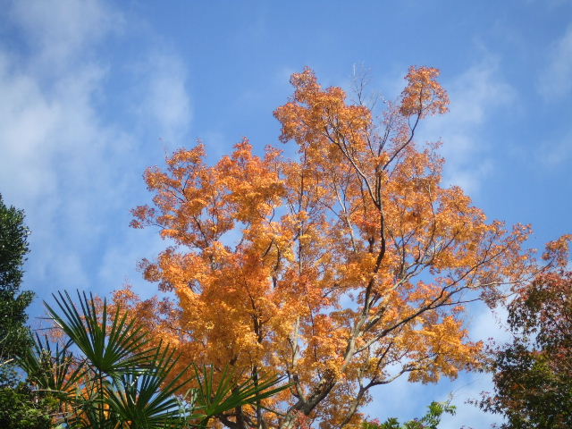 c0071545_12124965.jpg