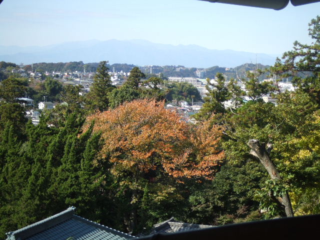 c0071545_1216528.jpg