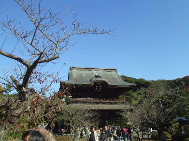 c0071545_12242789.jpg
