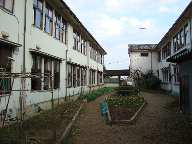 e0111346_9573651.jpg