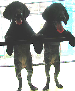 f0095047_1817121.jpg