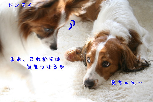 d0013149_0115143.jpg