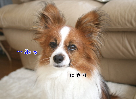 d0013149_0281534.jpg