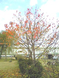 e0047949_23303545.jpg