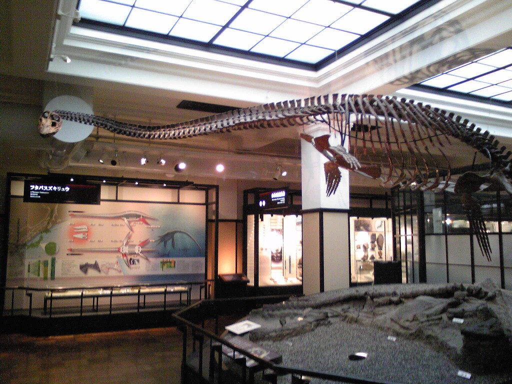 e0054064_22104278.jpg